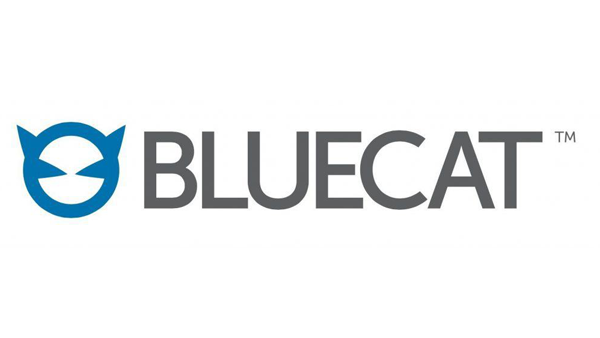 /content/dam/assets/swa/img/600x338-2/blue-cat-logo-600x338.png