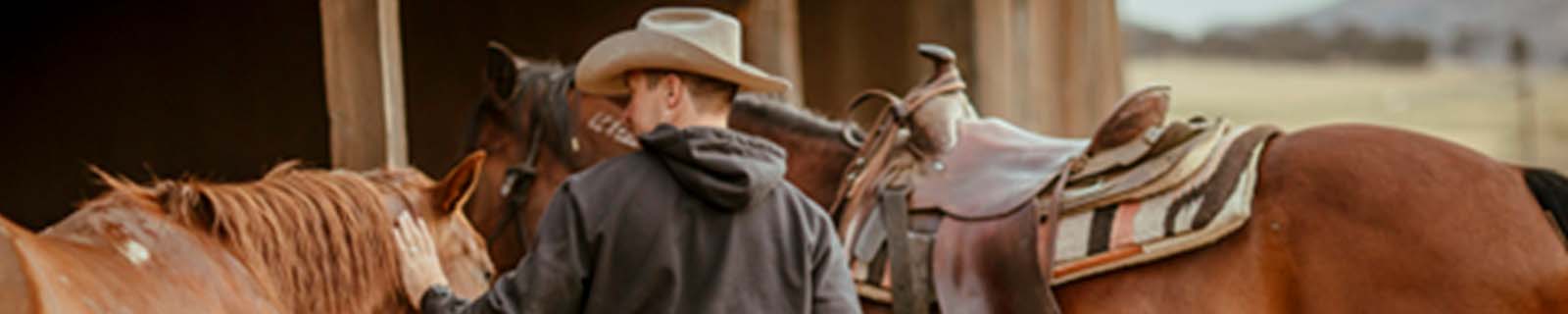 Image of person wearing Carhartt clothing working on a ranch with horses