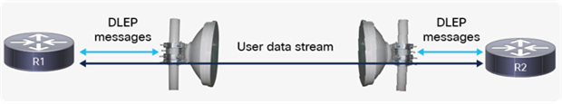 A radio link that implements DLEP between the router and its radio modem