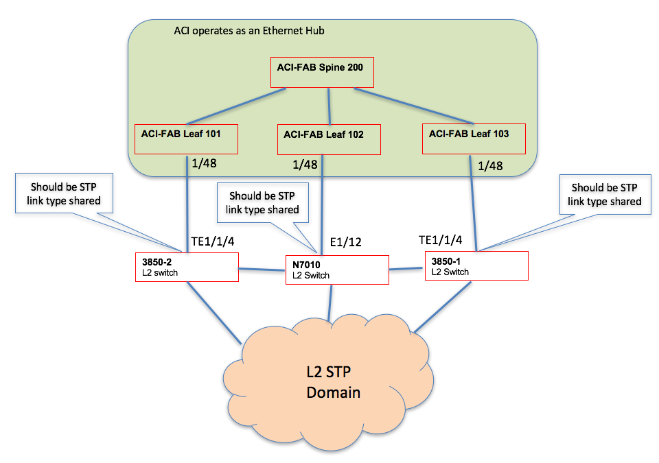 ACI Topology