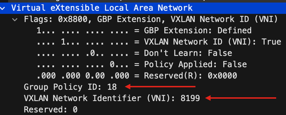 Inspect VXLAN Header