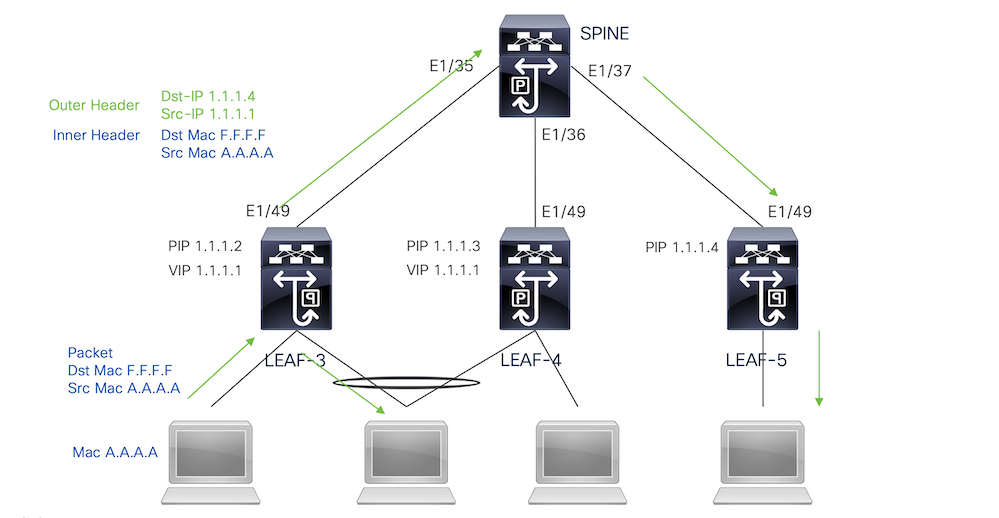 Fabric-Peering1