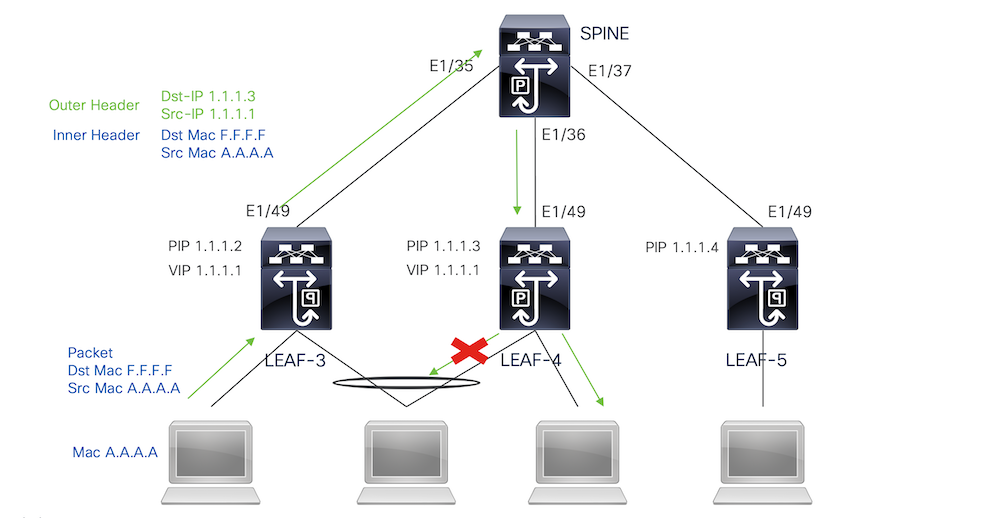 Fabric-Peering-Multi2