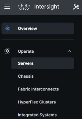 Servers Tab in IMM