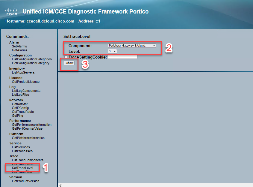 Diagnostic Portico