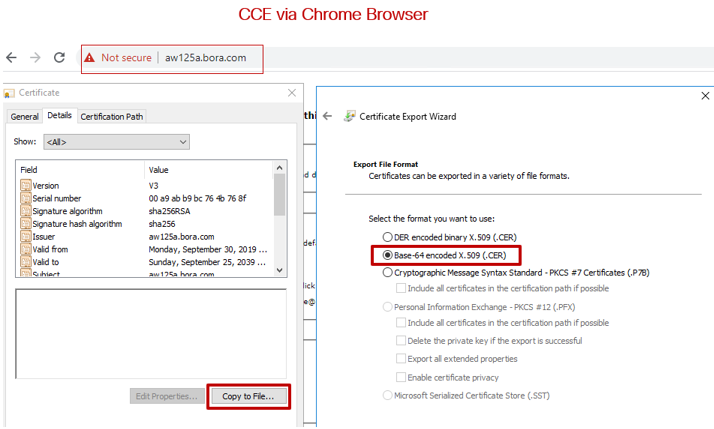 Accessing Server URLs from AW Browser