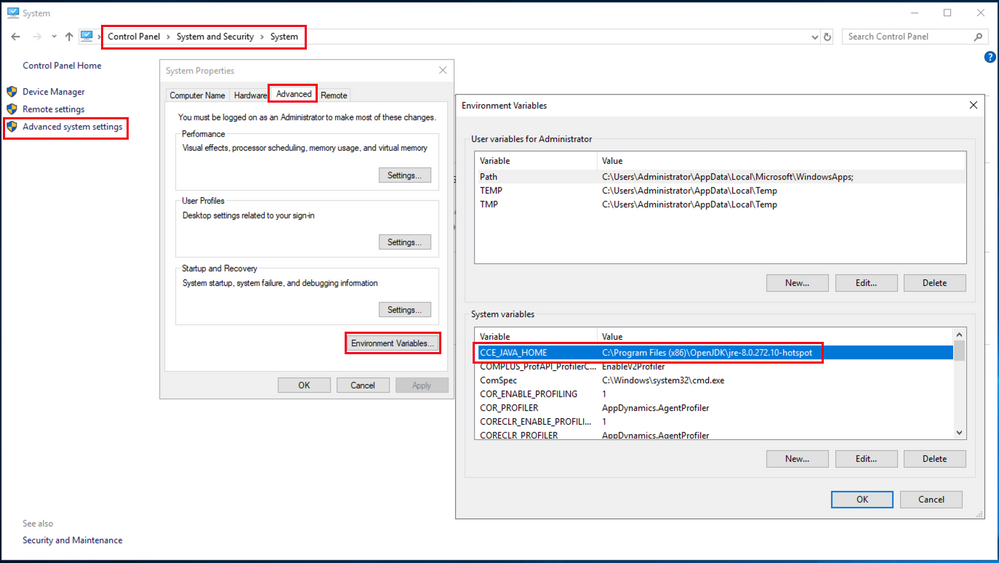 Option 2 - Environment Variables