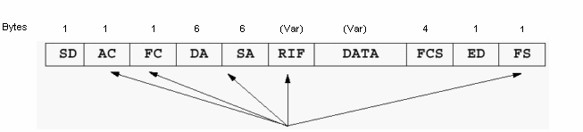 trb_rif-100.gif