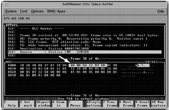 trb_rif-12.gif