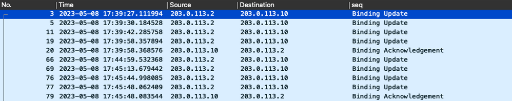 PMIPv6 Tunnel Intermittent Connection