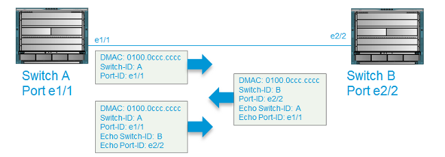 Echo Packets form Bi-directional Relationships