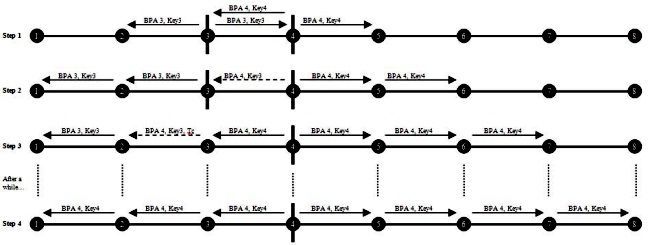 Image 5. BPA Operation at Link-Up