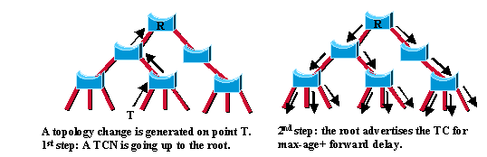 New Topology Change Mechanism