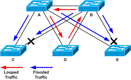 Looped and Flooded Traffic