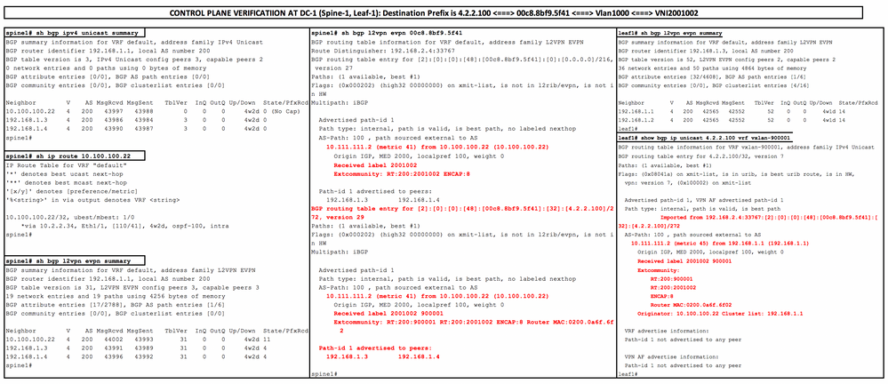 5_DC-1_Control-Plane Verification_in_Spine-1 & Leaf-1_UnColored