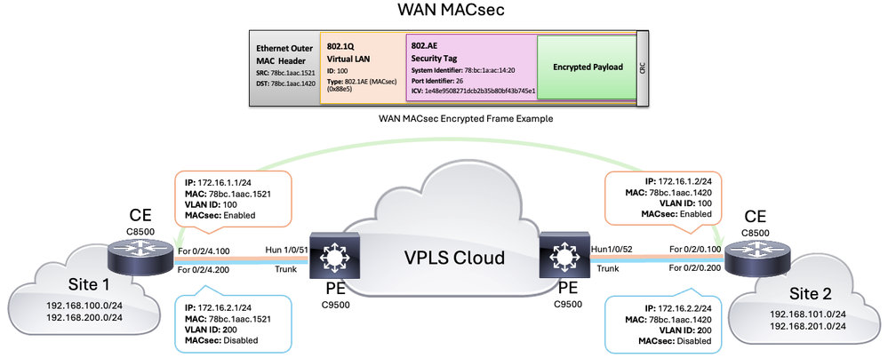 WAN MACsec Topology