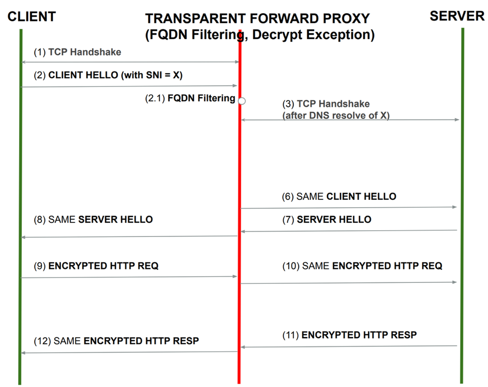 Image - Transparent Forward Proxy (with Decryption Exception)