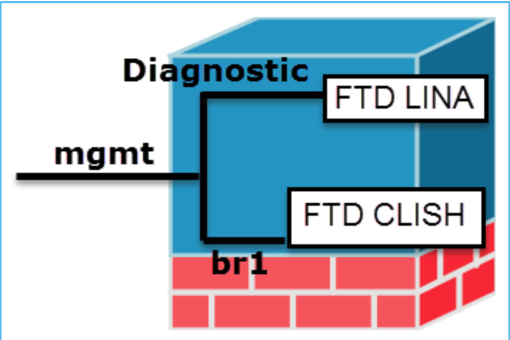 Management Interfaces