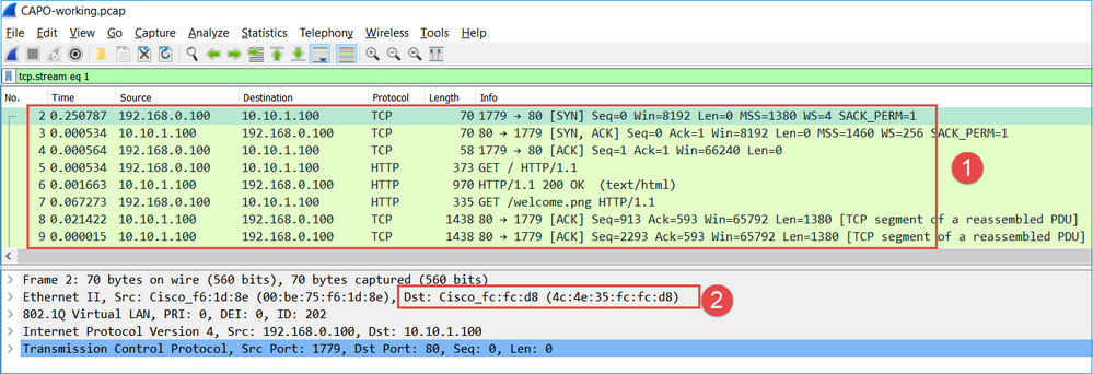 CAPI Output