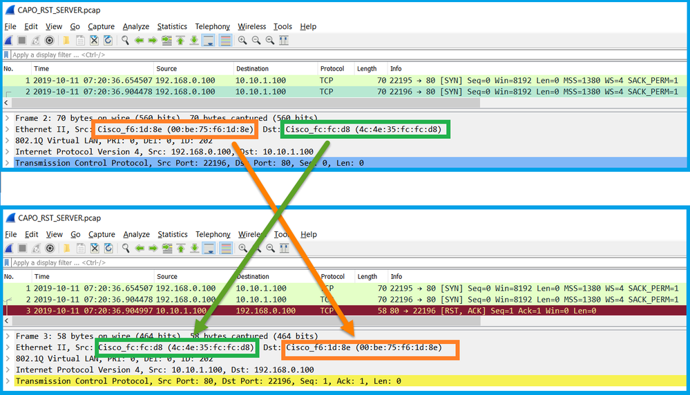 CAPI Output