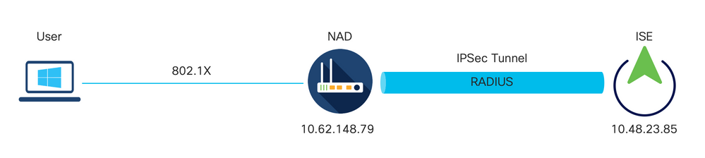 Network Diagram