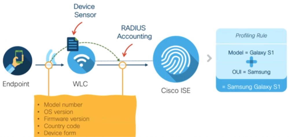 WiFi分析資料流