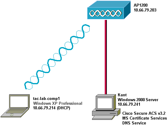 acs-peap-01.gif