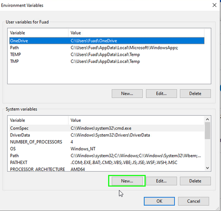 Environment Variables Settings