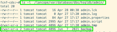 Cisco SNA Appliance - /lancope/var/database/dbs/hsqldb/admin path