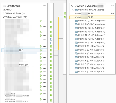 DportGroup DN1 eth0 interface