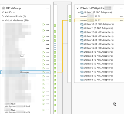 DportGroup Manager eth0 interface