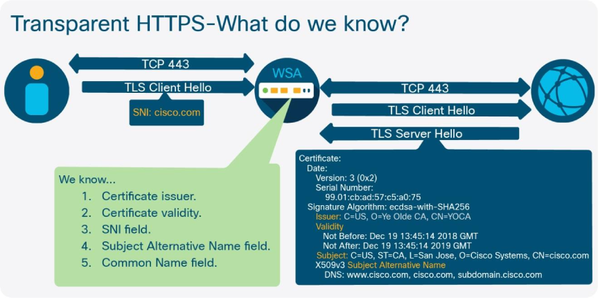 SWA Transparent HTTPS