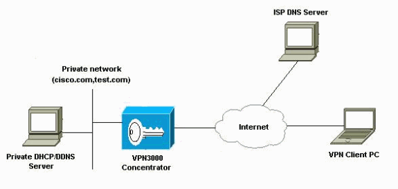 dns_split_dynam1.gif