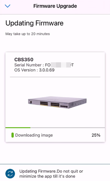 The upgrade process will take a few minutes.