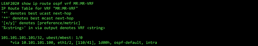 OSPF route for VRF MR:MR-VRF on LEAF202