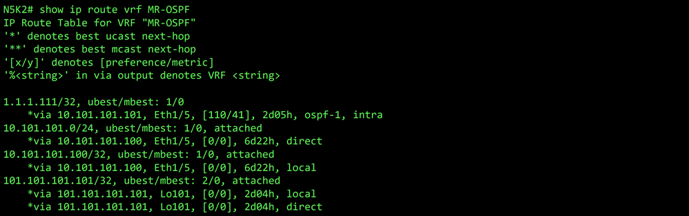 RIB for VRF MR-OSPF on N5K2