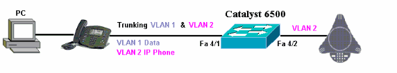 config-cat-switches-polycom.gif