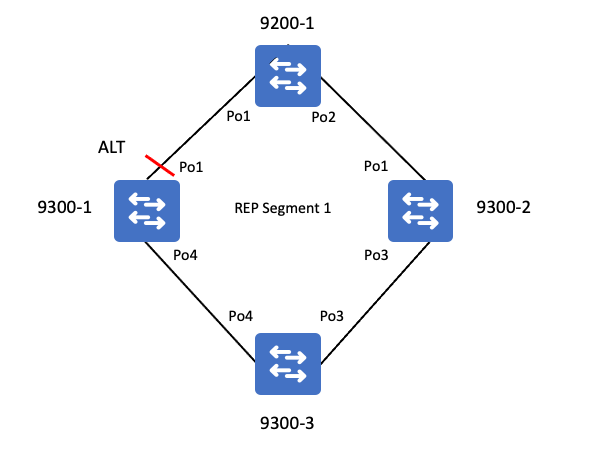 REP Topology 04