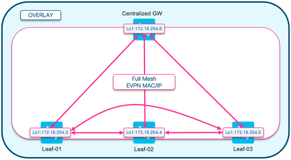 BGP EVPN RT2 Full Mesh Topo