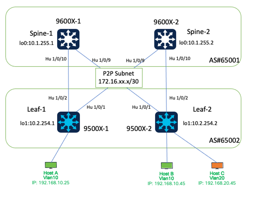 Network Diagram