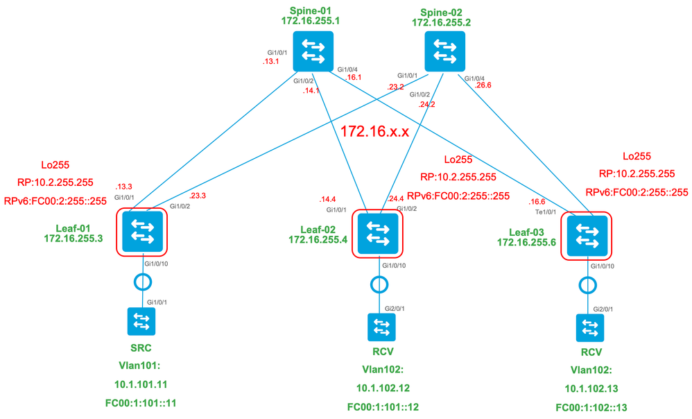 Anycast Topology