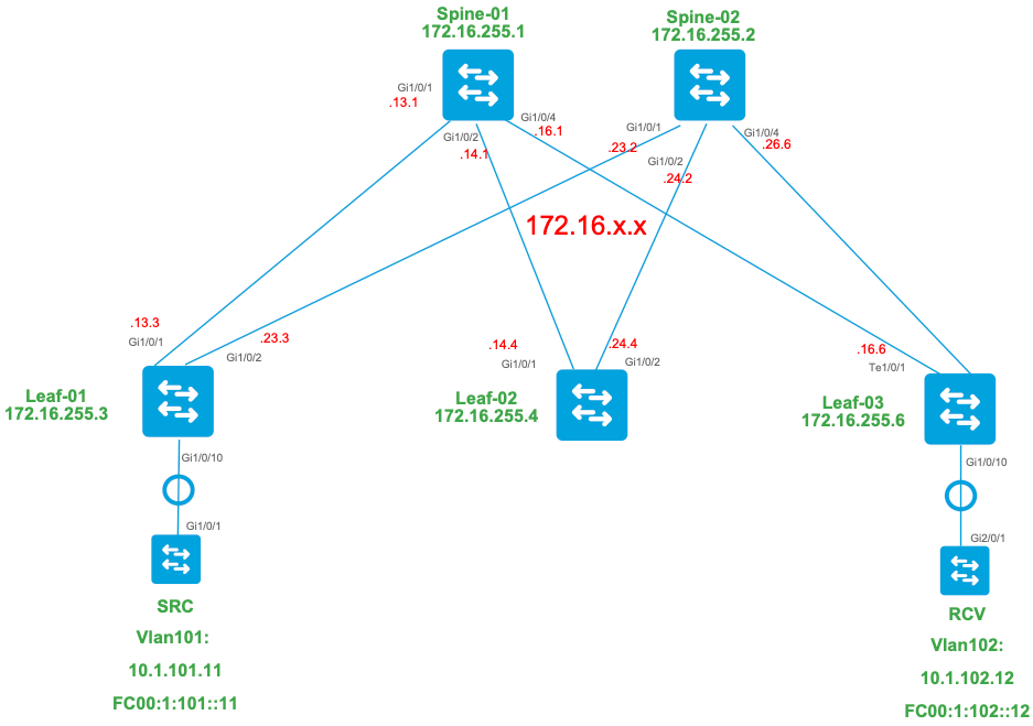 SSM topology