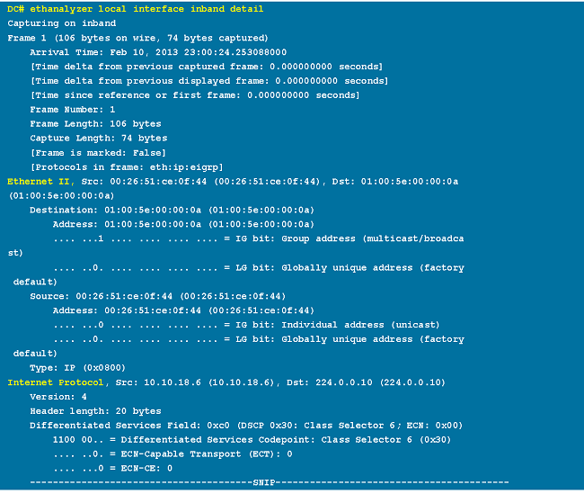 Use Detail Command for Detailed Protocol Information