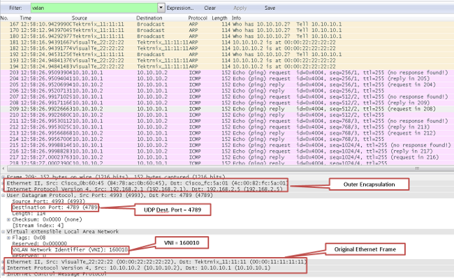 VXLAN PCAP Print Out