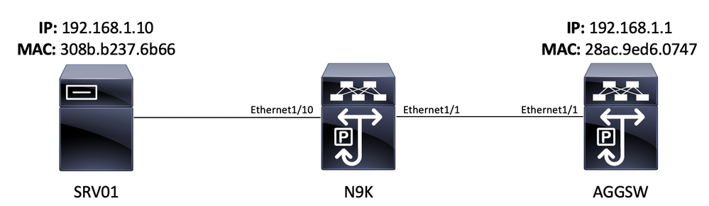 SPAN-to-CPU Example Topology