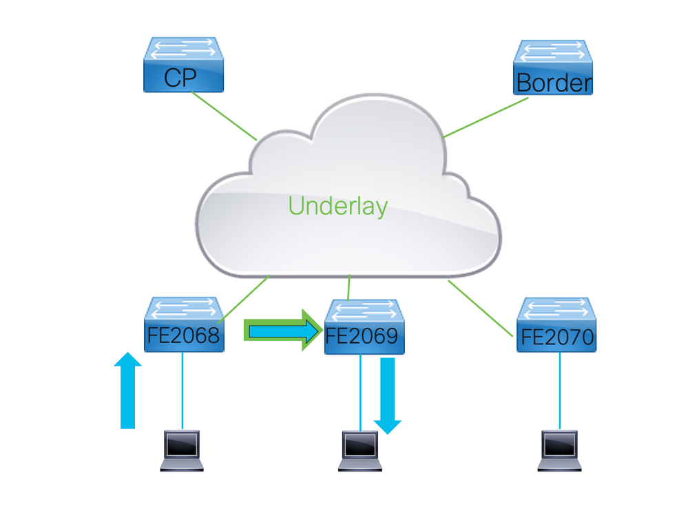 Fabric Forwarding