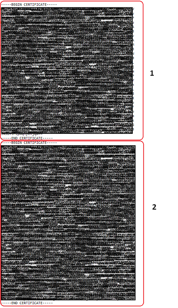 Redaktiertes kombiniertes Zertifikat