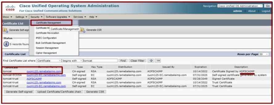 Certificado Tomcat assinado pelo mesmo servidor de autoridade de certificação.