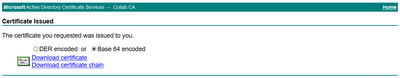 Select Base 64 Encoded and Download Certificate