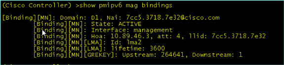 pmipv6-config-12.gif